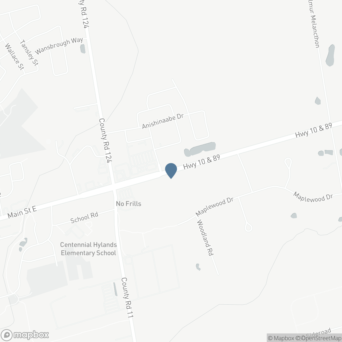 505456 HIGHWAY 89 HIGHWAY, Amaranth, Ontario L9V 3J5